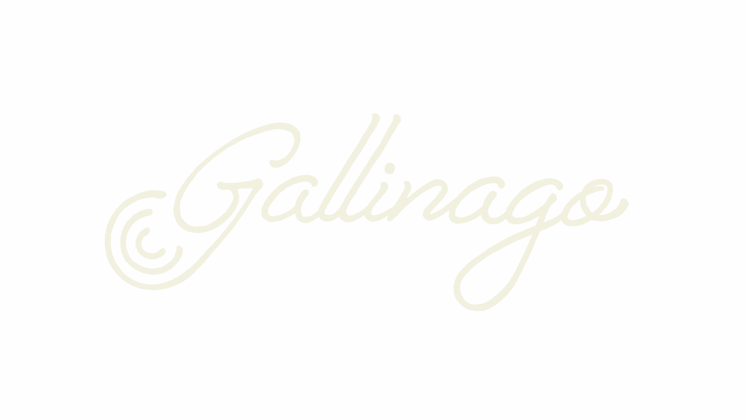 Gallinago